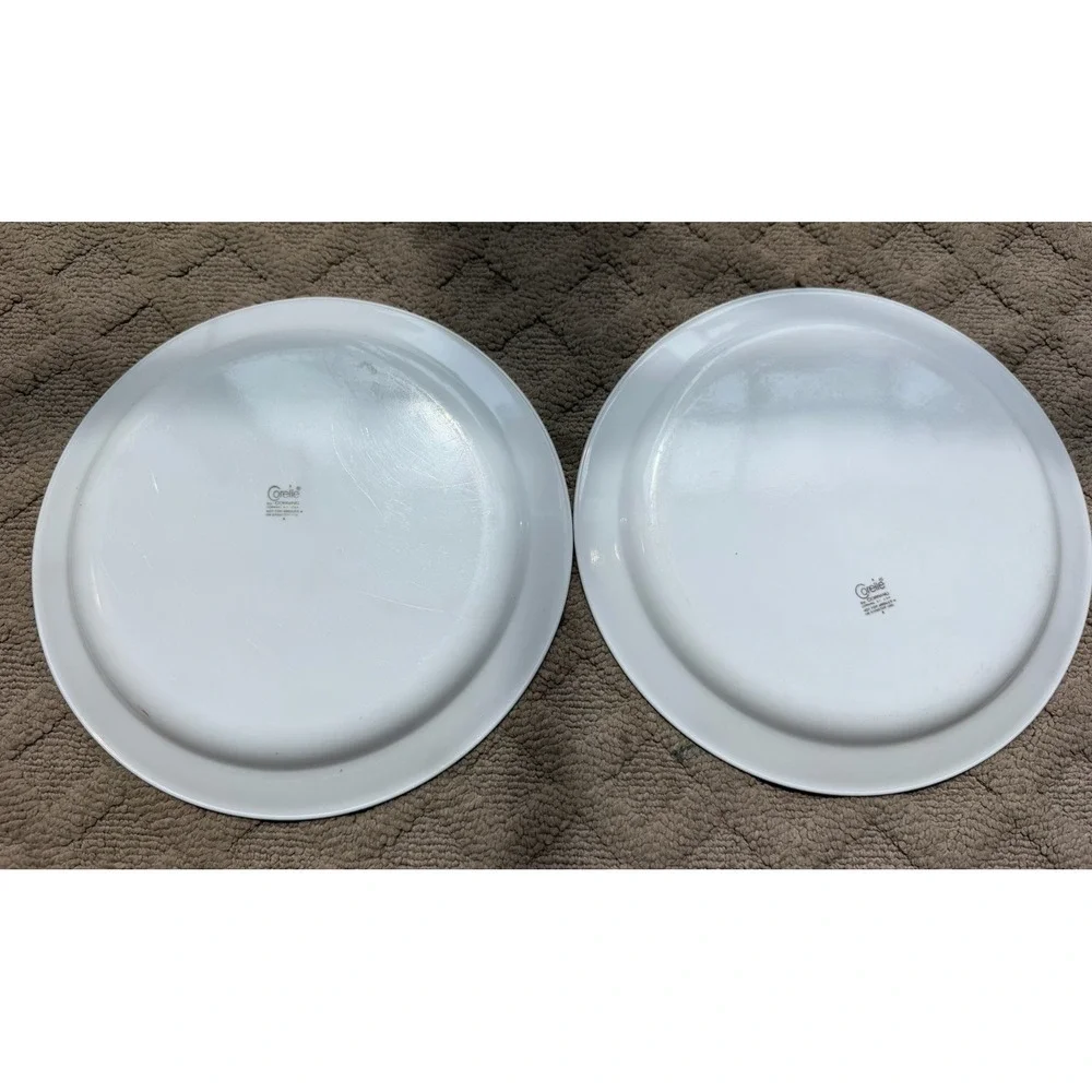 Vintage Corelle Dinner Plates Cinnamon Chestnut Lot of 2